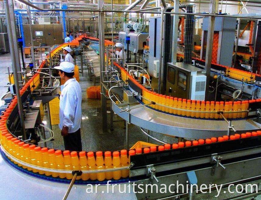 Industrial Citrus Peeler Machine Citrus Processing Line